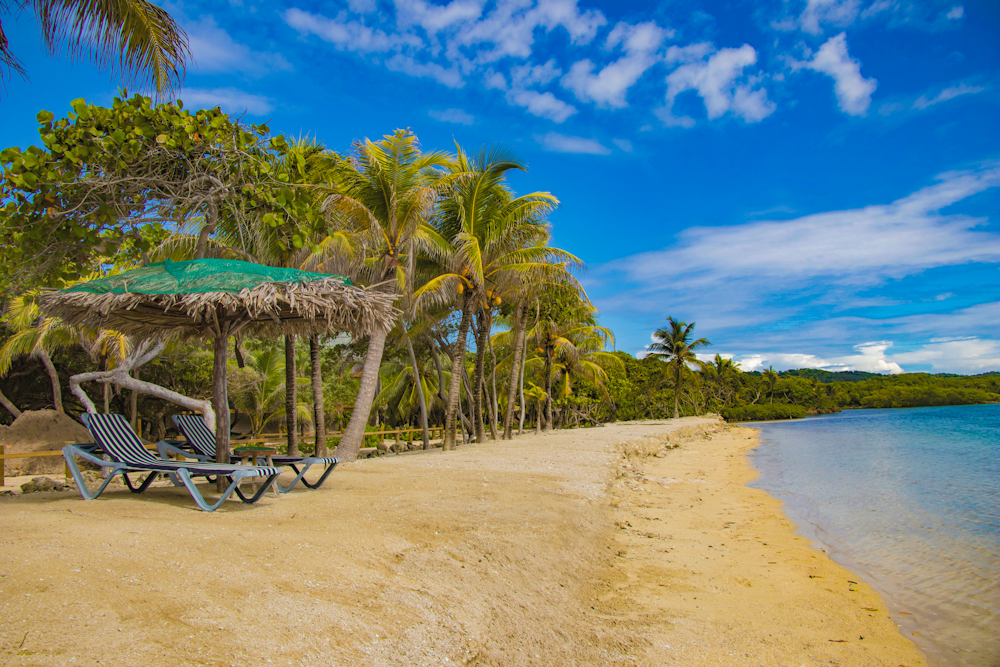 espreguiçadeira de praia de madeira marrom perto de palmeiras sob o céu azul durante o dia