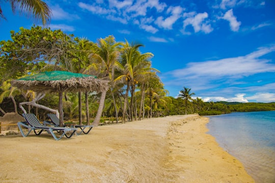 brown wooden beach lounge chair near palm trees under blue sky during daytime in Roatán Honduras