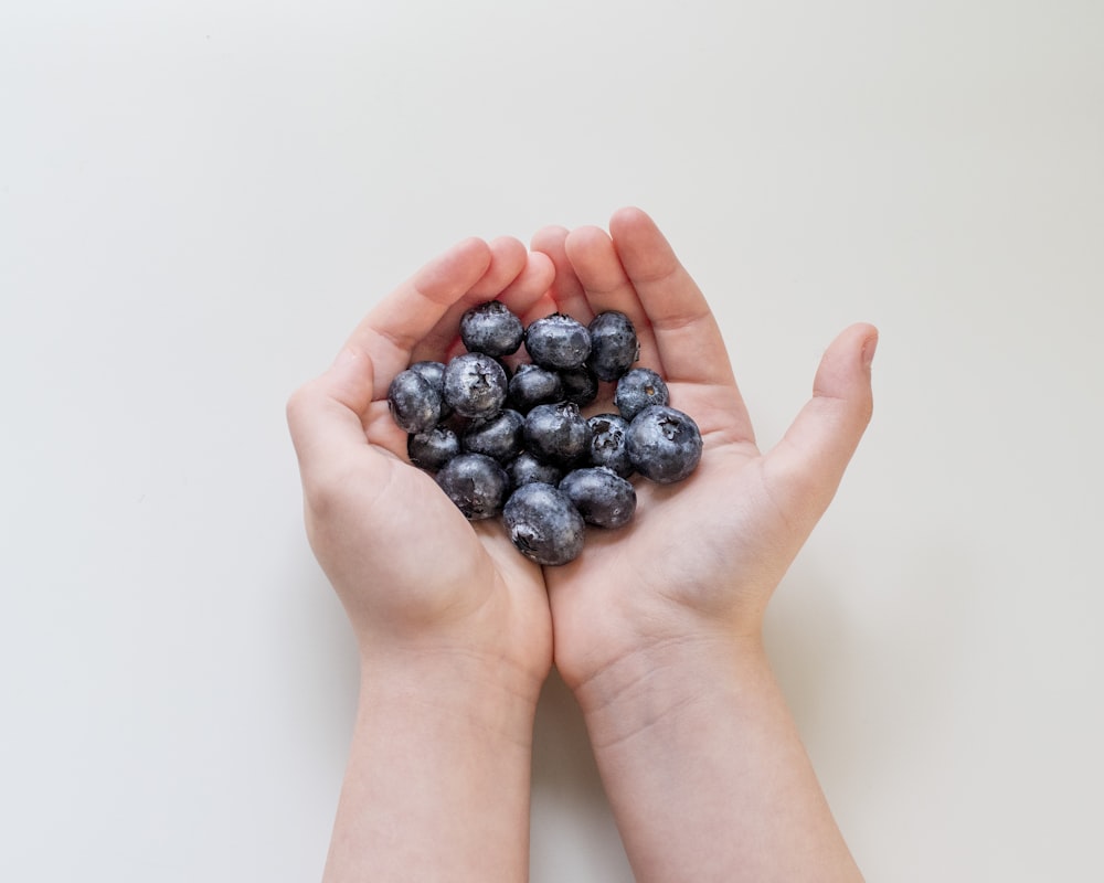 person holding black berries on white background