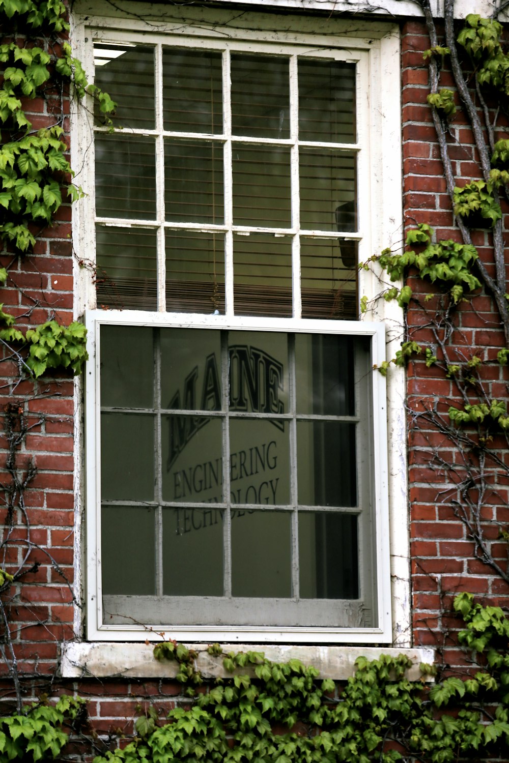 ventana de vidrio con marco de madera blanca