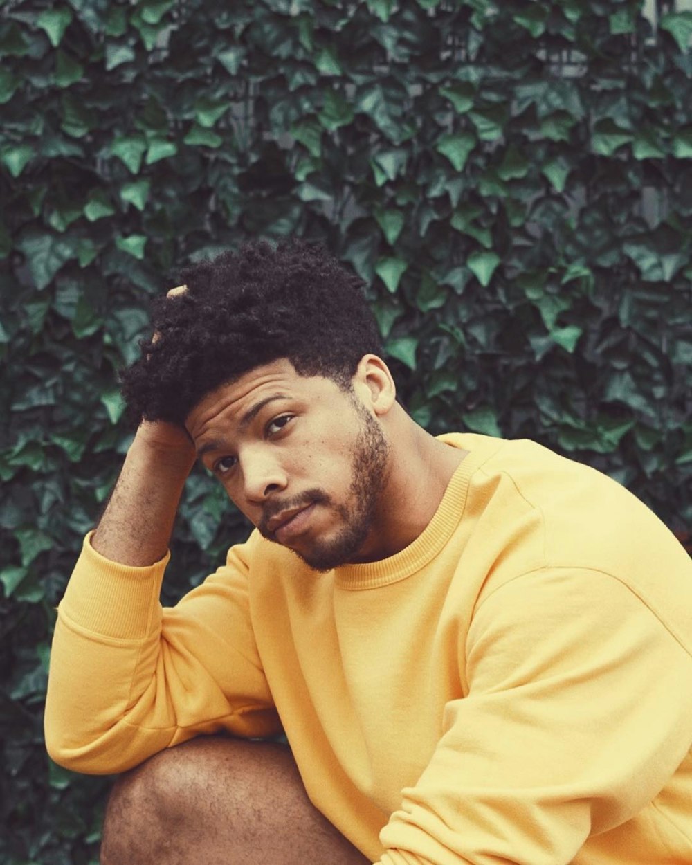 man in yellow long sleeve shirt sitting beside green plant