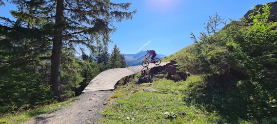 man in blue jacket riding bicycle on brown wooden bridge during daytime in Davos Switzerland