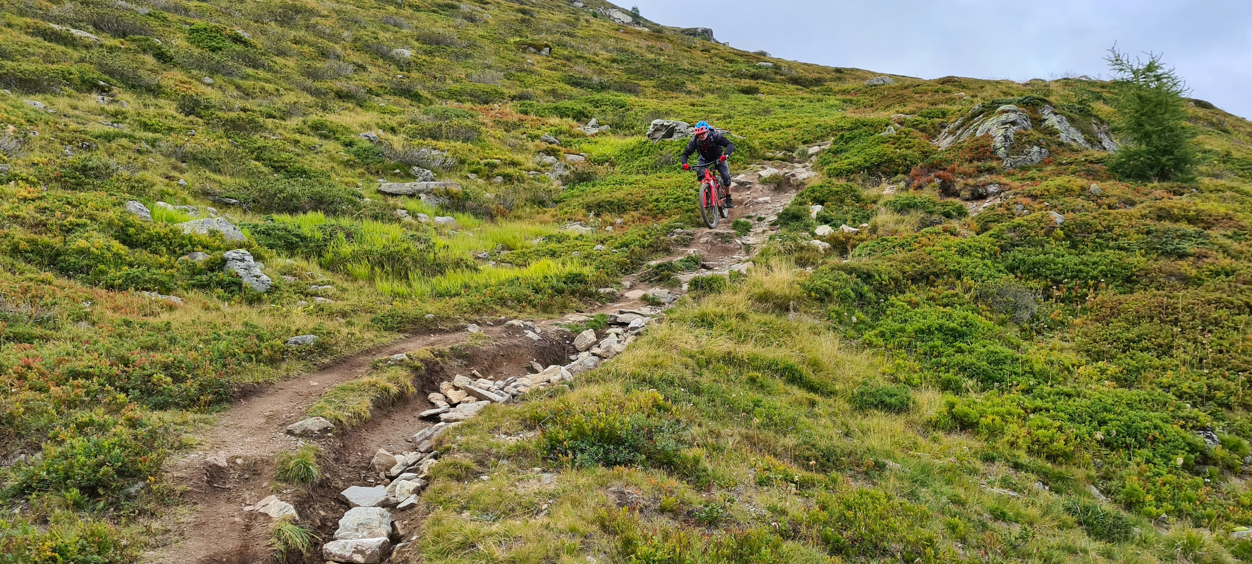 person walking on green grass field during daytime