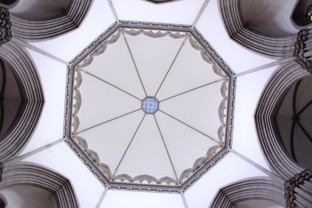 white and blue floral ceiling