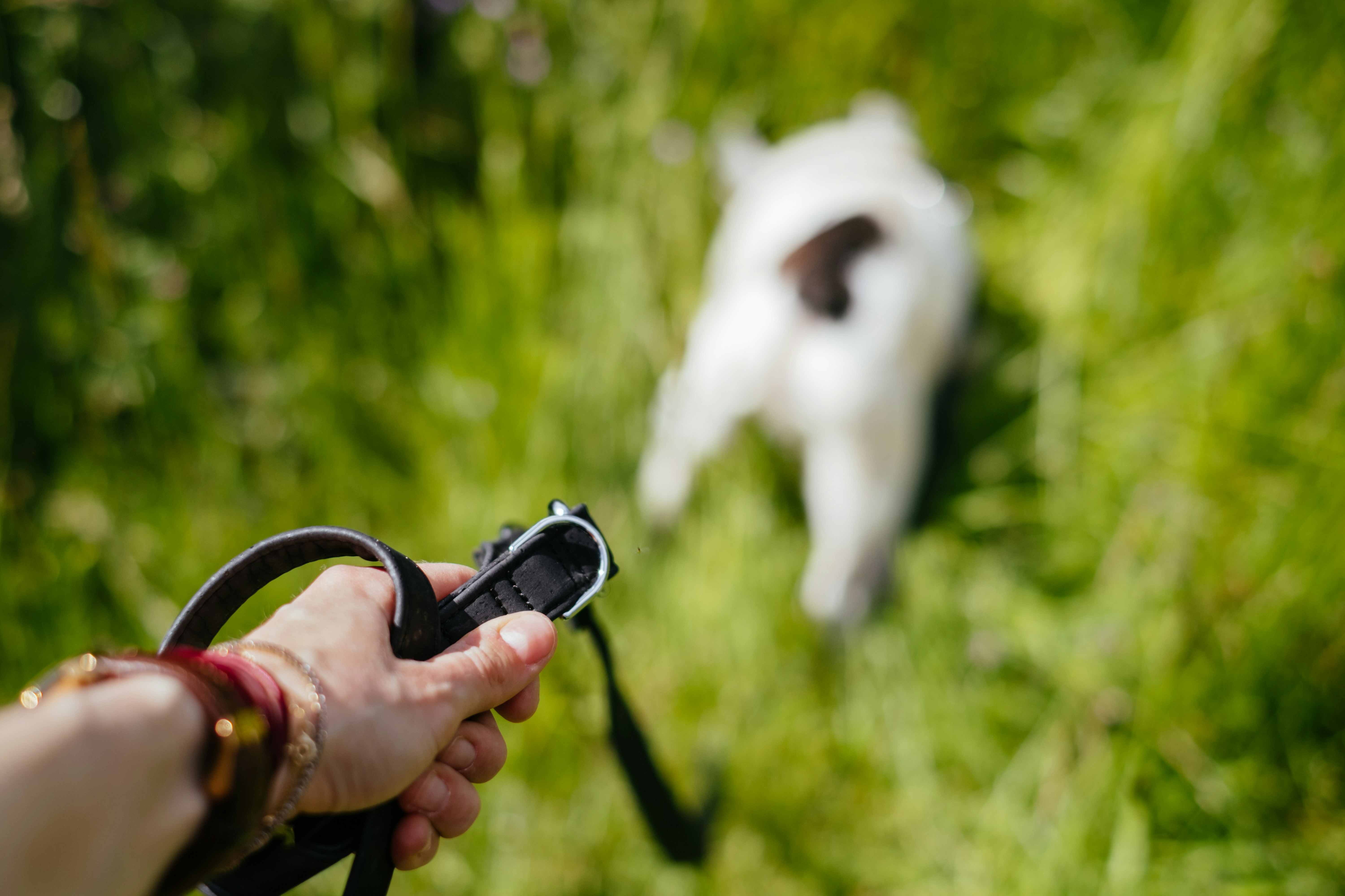 person holding black and white toy gun