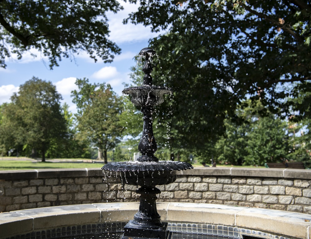black outdoor fountain near green trees during daytime