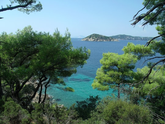 green trees near body of water during daytime in Skiathos Greece