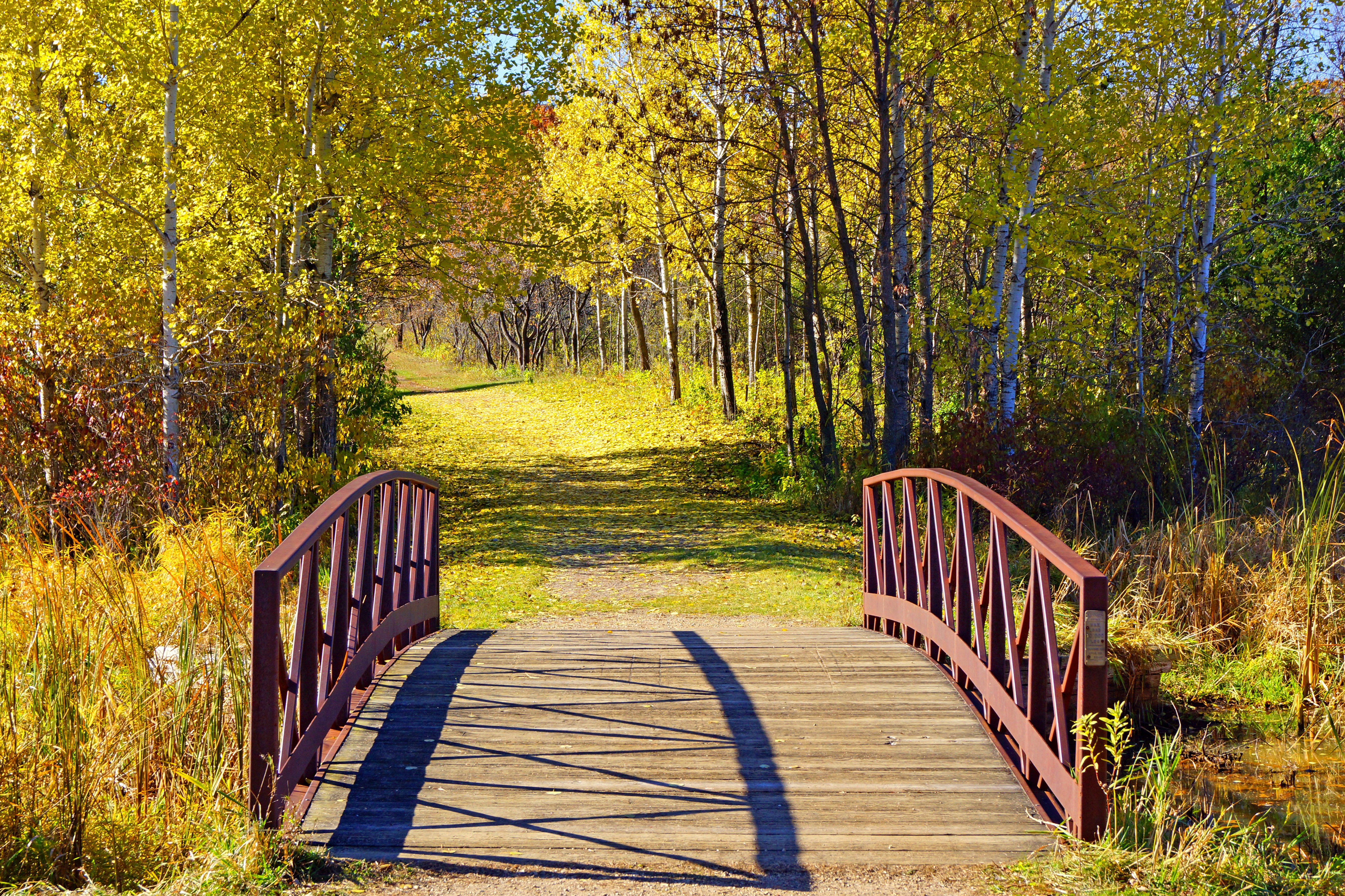 Photo by globalpalette