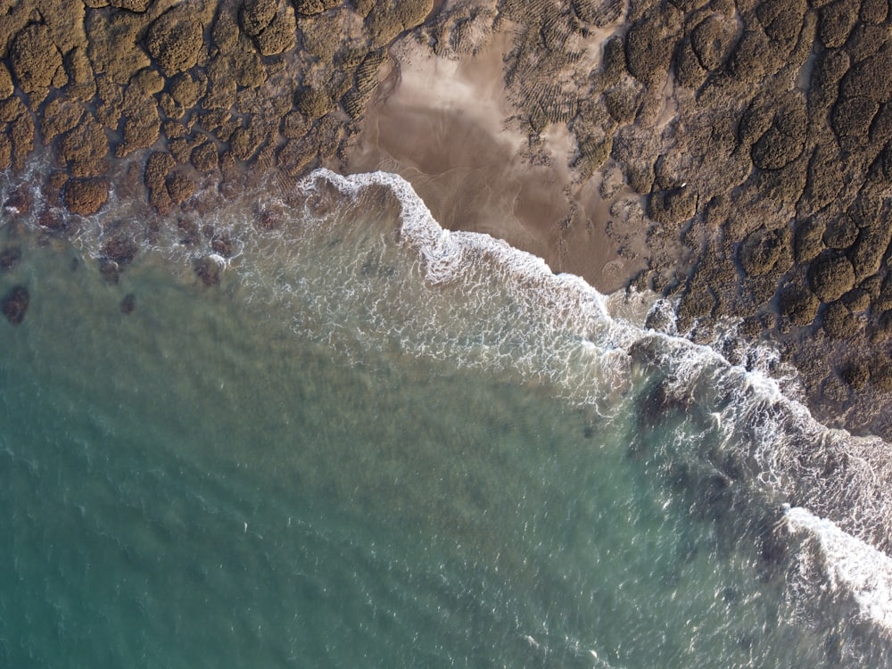 brown rocky shore with water waves during daytime