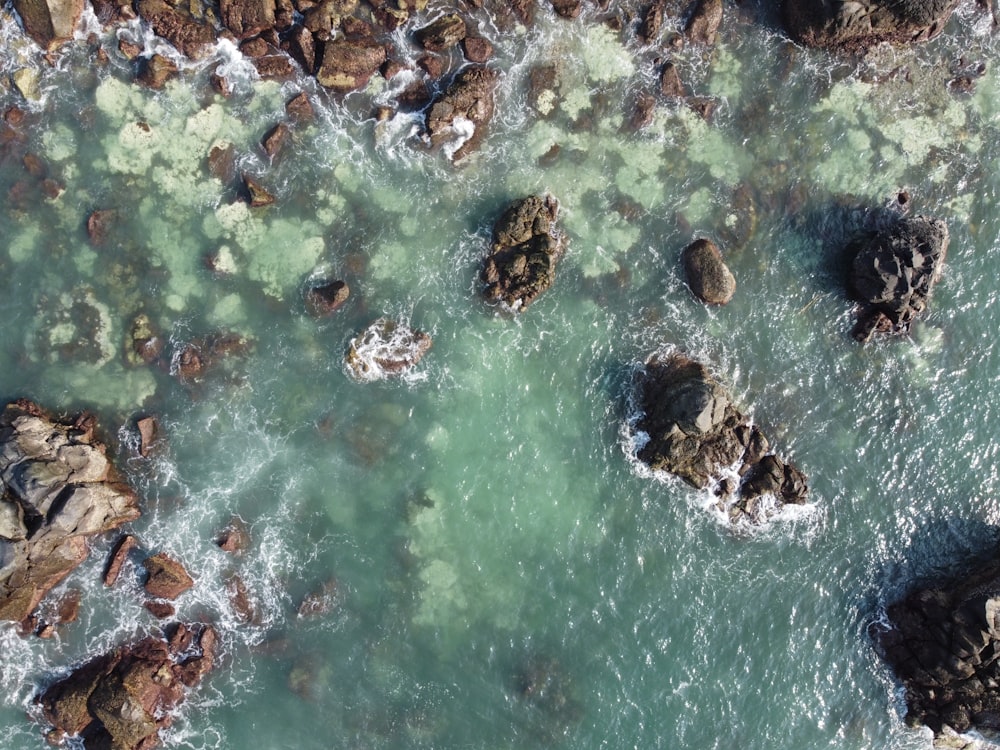 aerial view of body of water