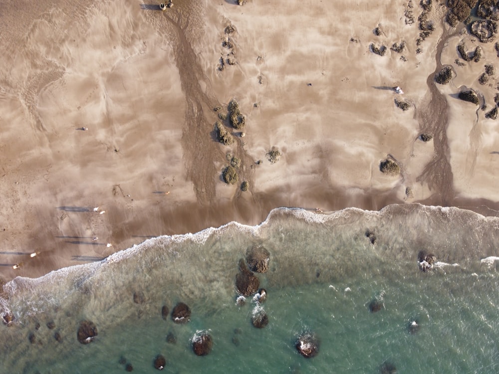 aerial view of people swimming on beach during daytime