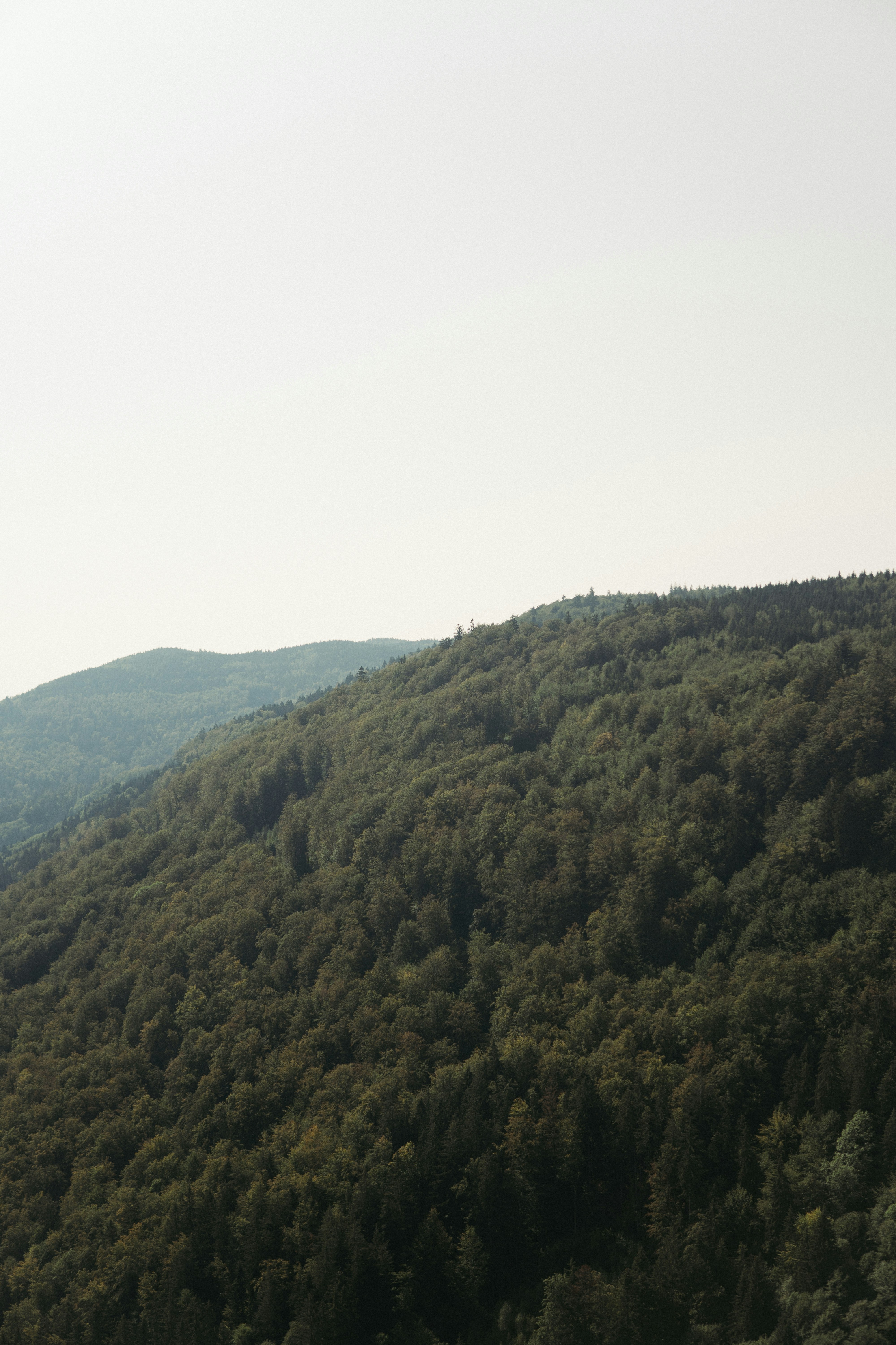 Photo by benjamin_raffetseder