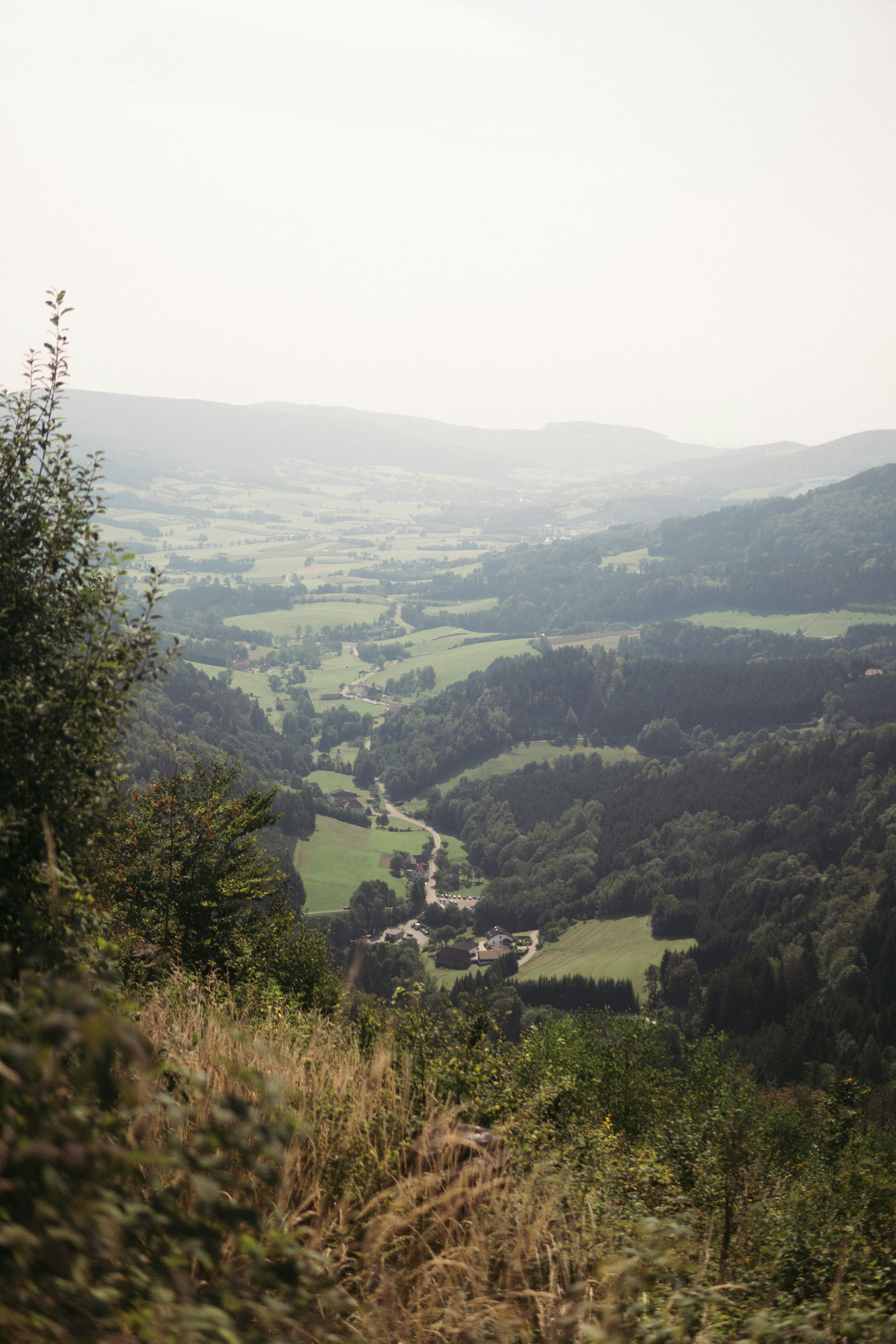 Photo by benjamin_raffetseder