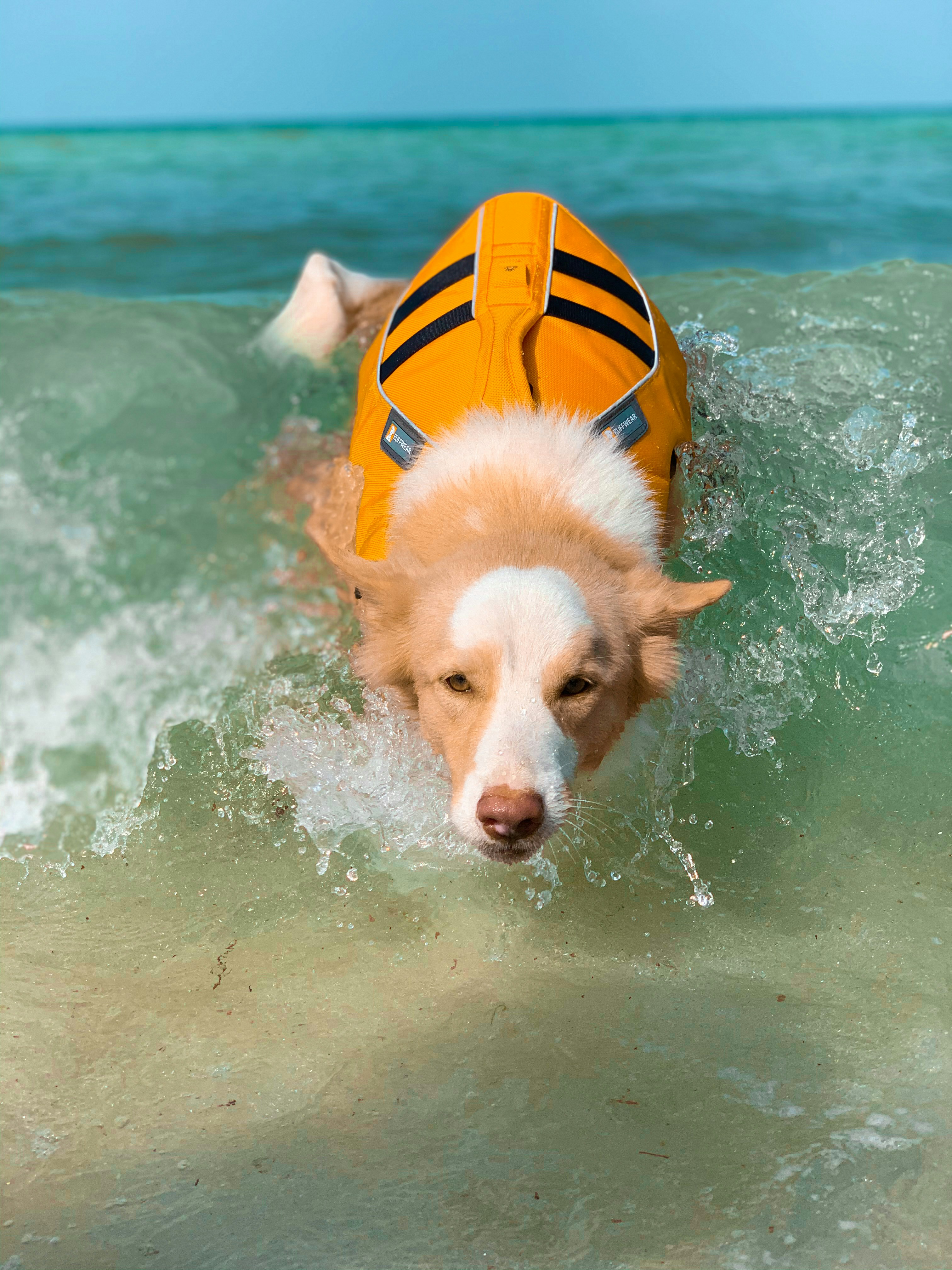 Photo by _valeperaza