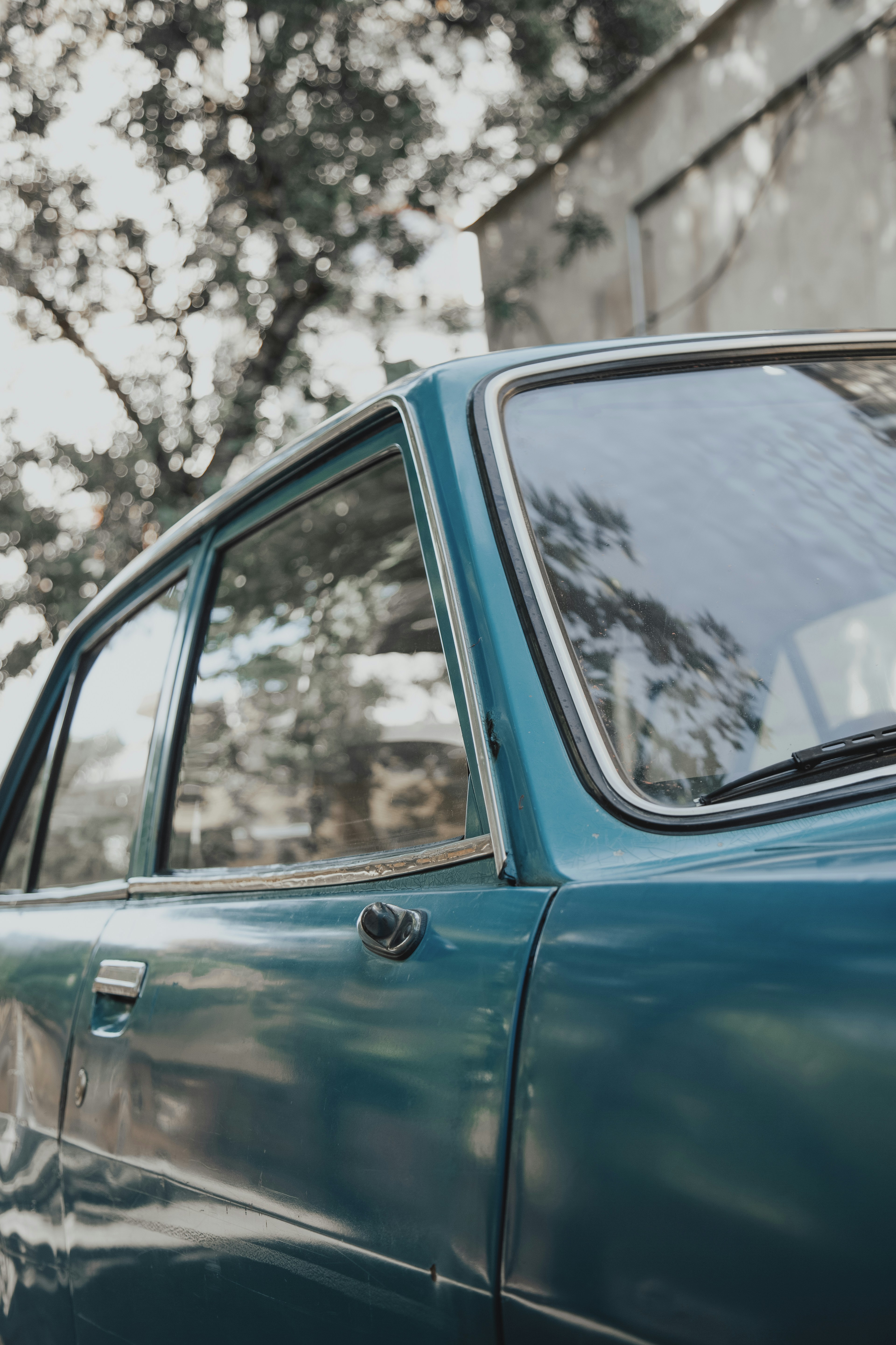 Photo by mohsenamerri