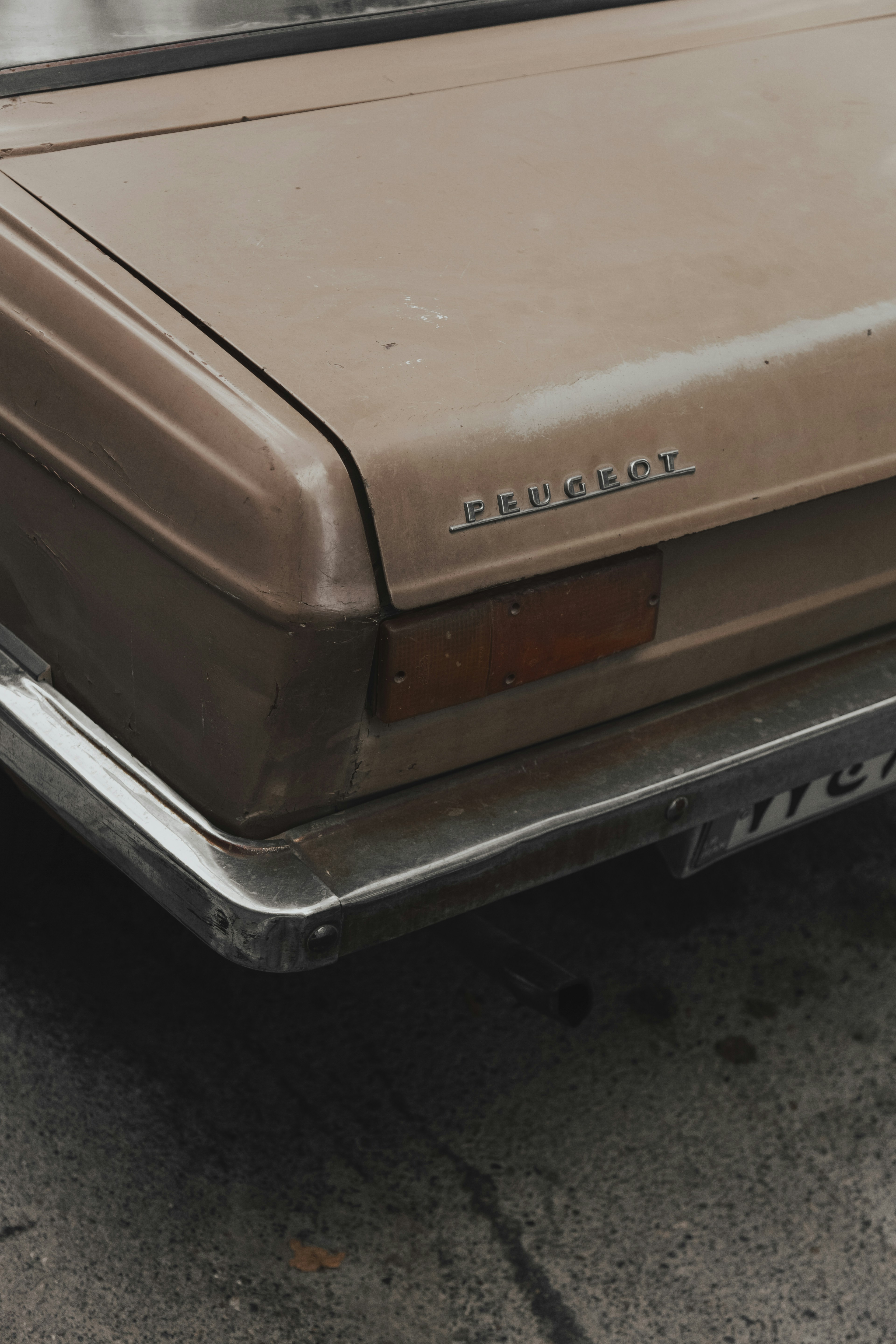 Photo by mohsenamerri