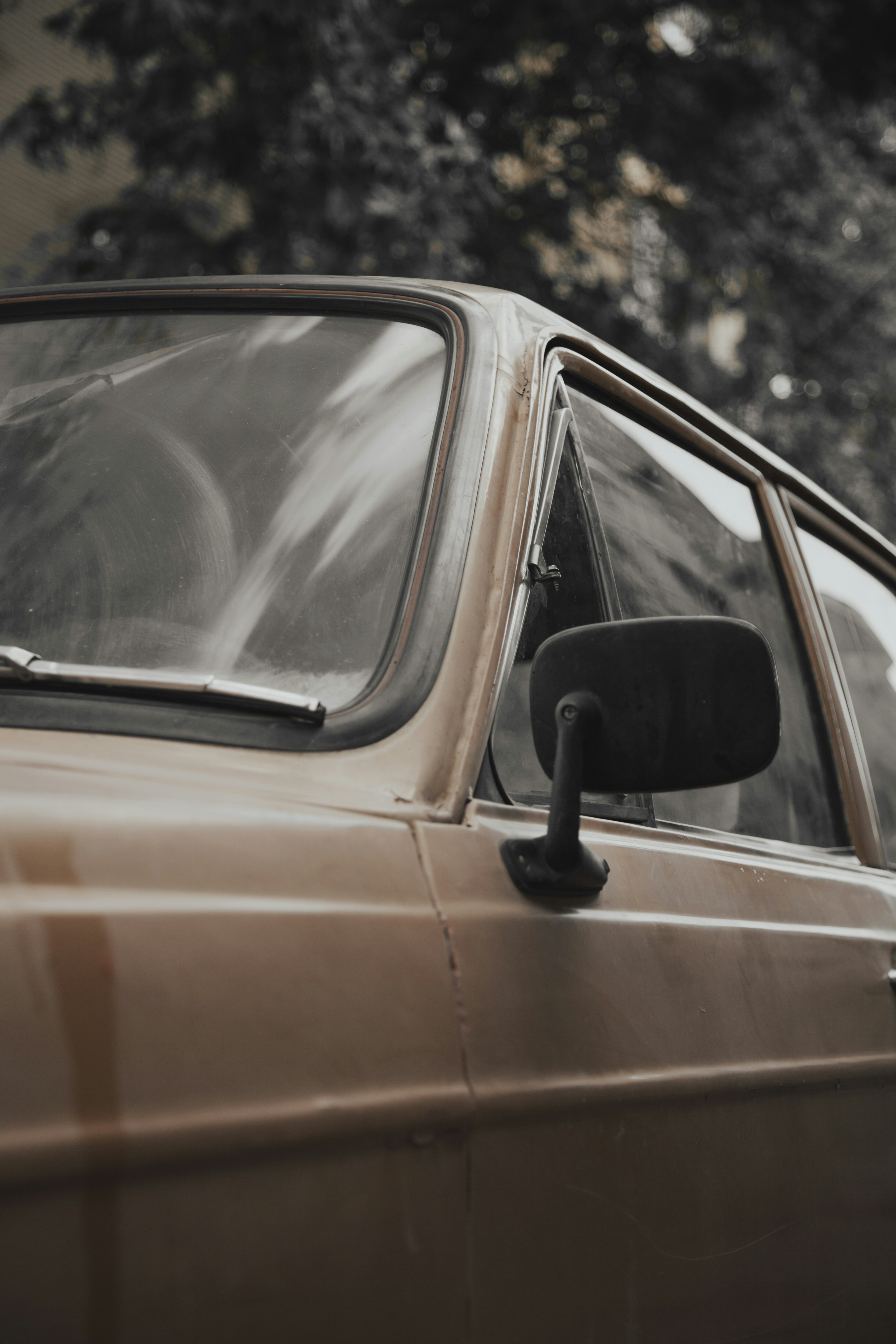 Photo by mohsenamerri