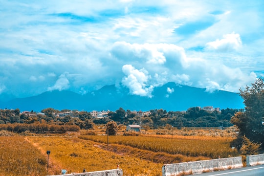 brown grass field under blue sky and white clouds during daytime in Nantou City Taiwan