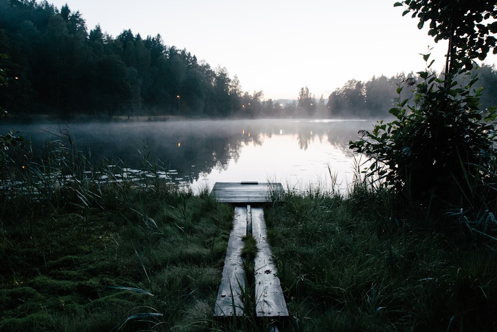 brown wooden dock on lake during daytime