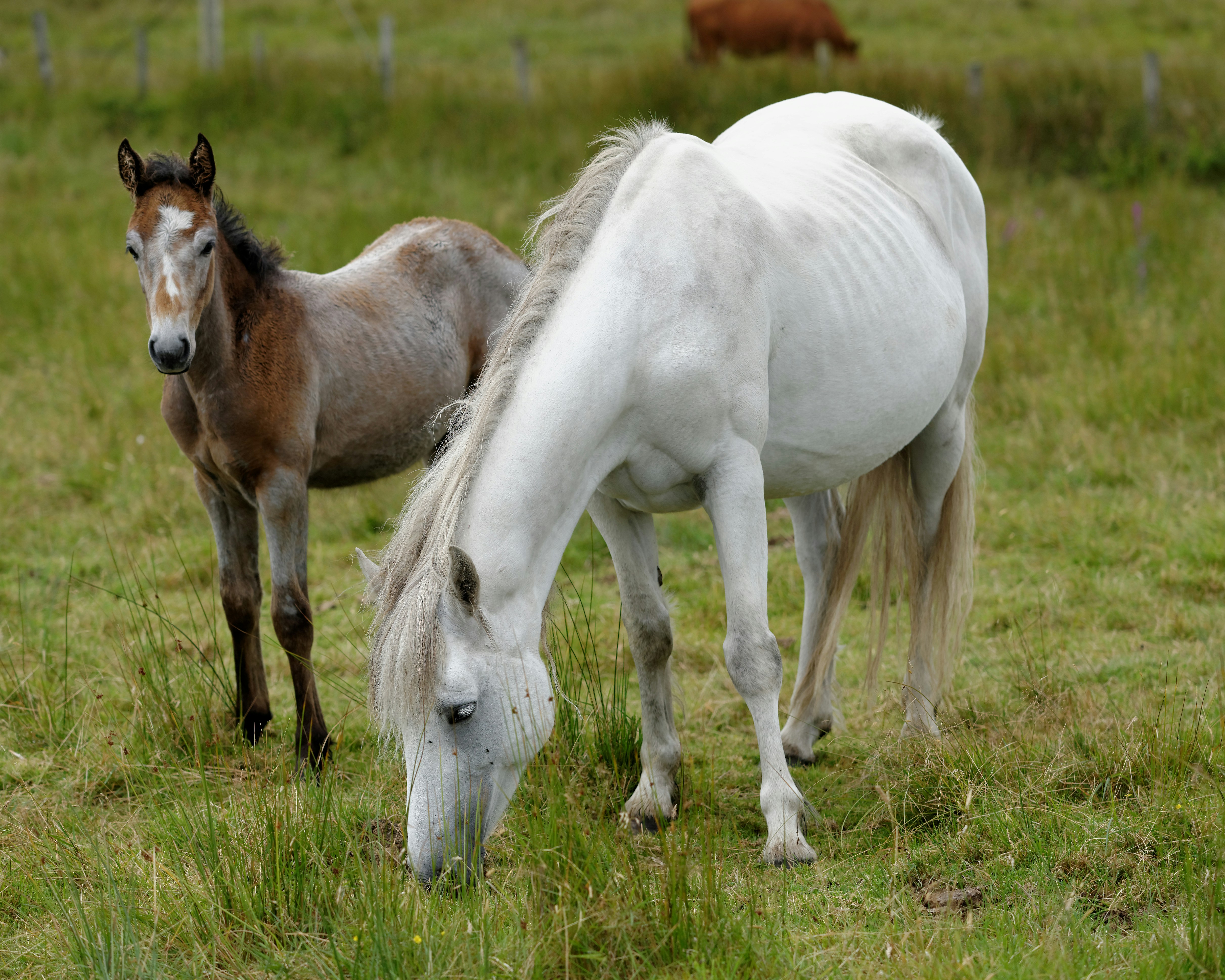 Photo by xavier_von_erlach