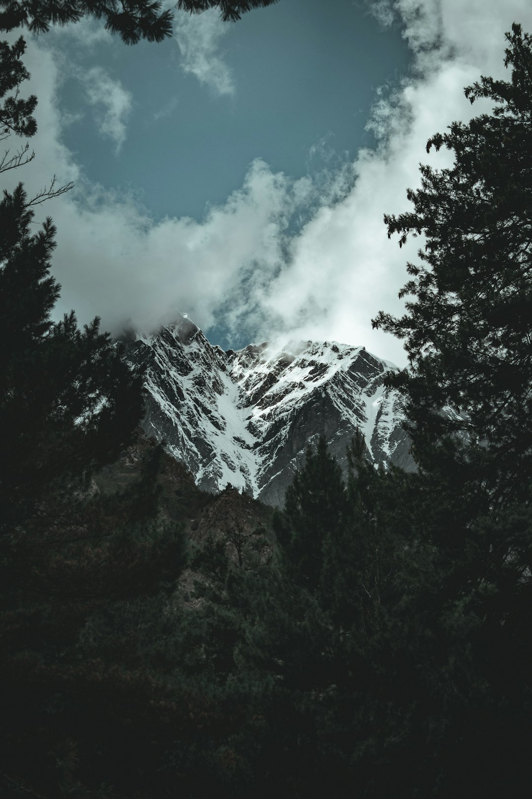 green trees near mountain under white clouds and blue sky during daytime