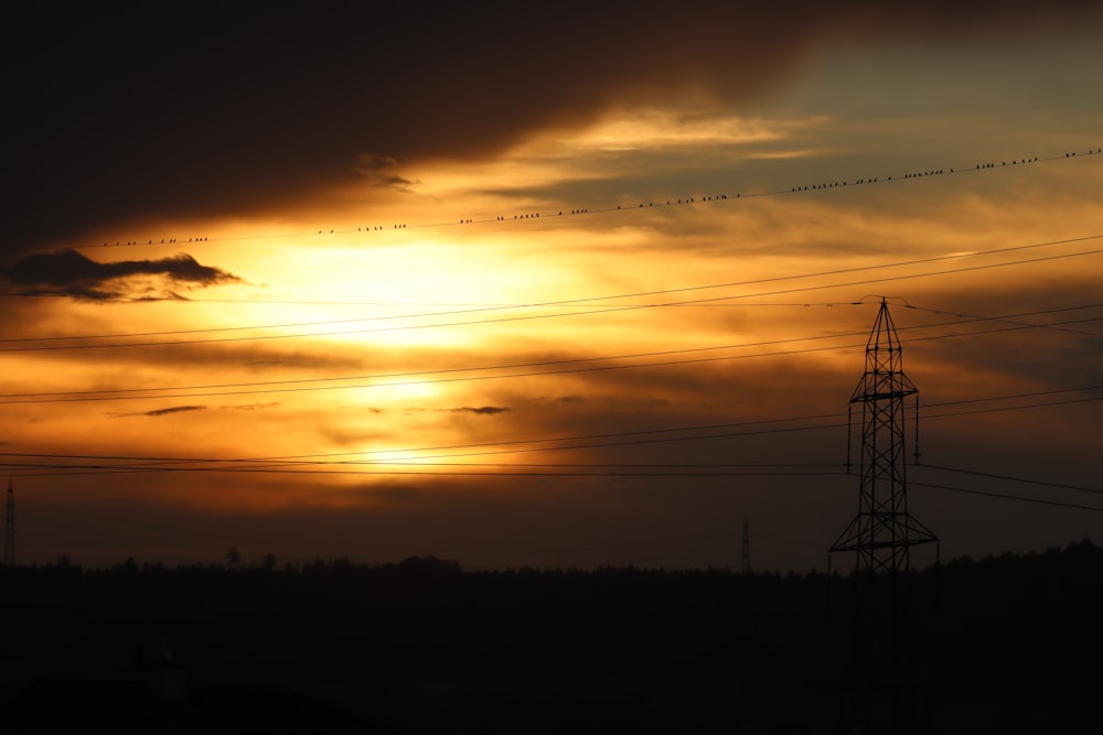 Silhouette der Bäume bei Sonnenuntergang