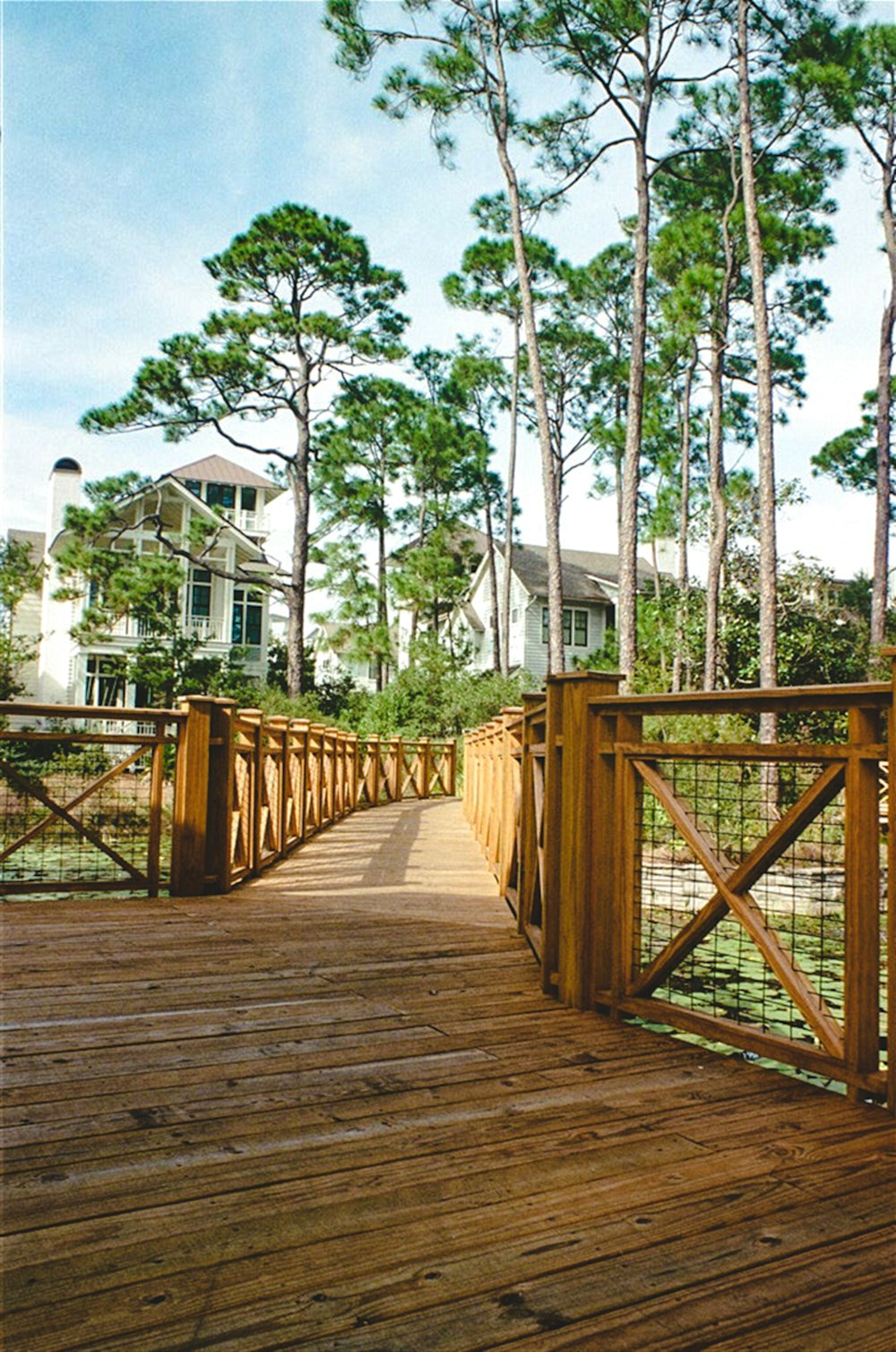 brown wooden bridge in the woods during daytime