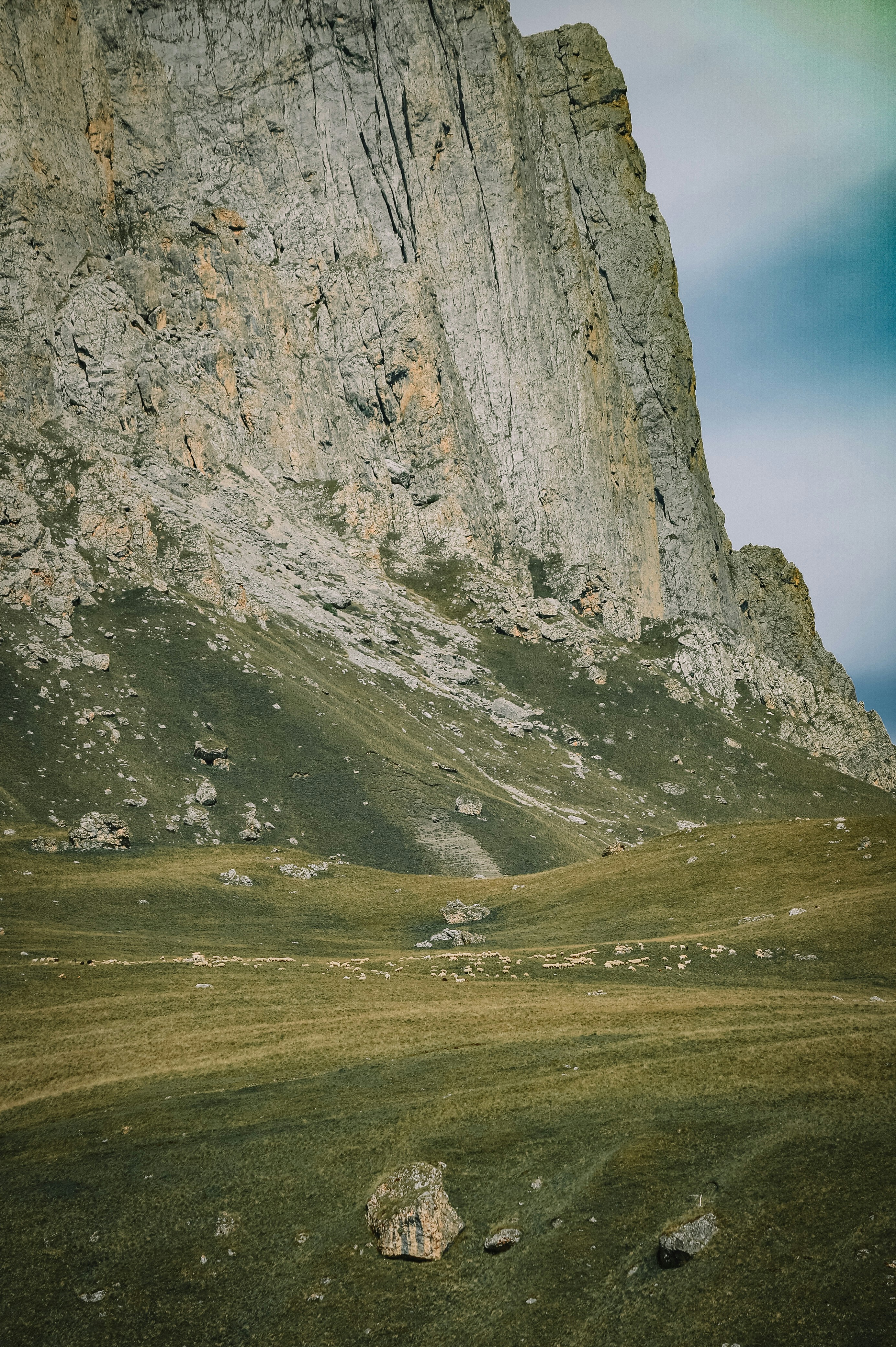 Photo by lizazebreva