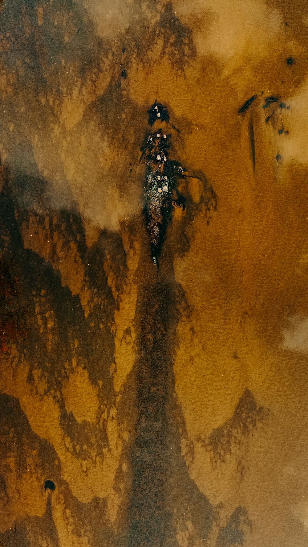 black and yellow bee on brown sand