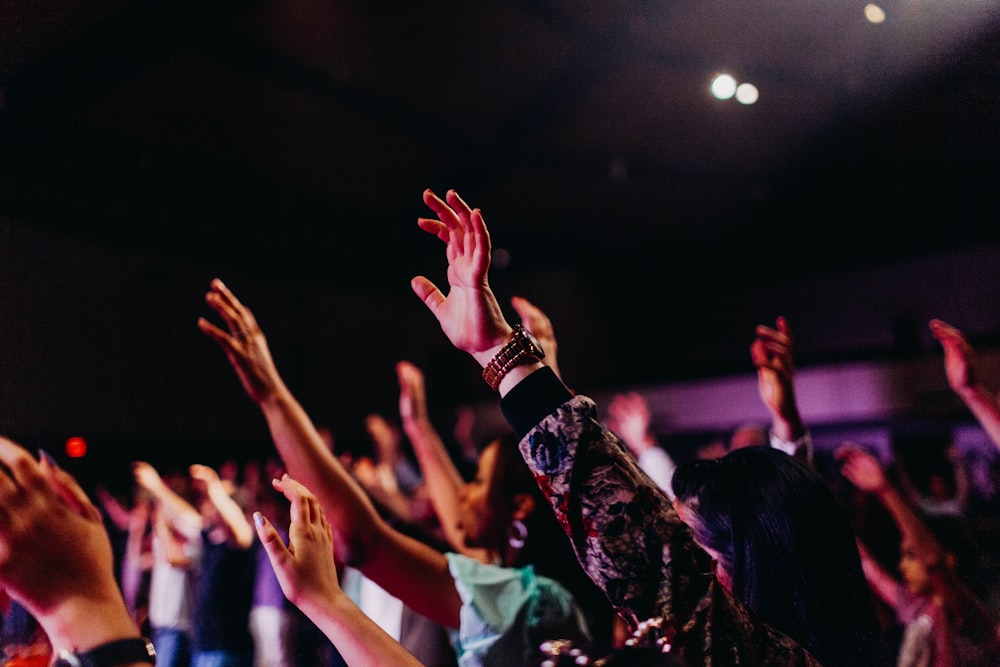 people raising their hands up