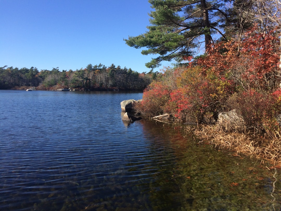 travelers stories about Shore in Halifax, Canada