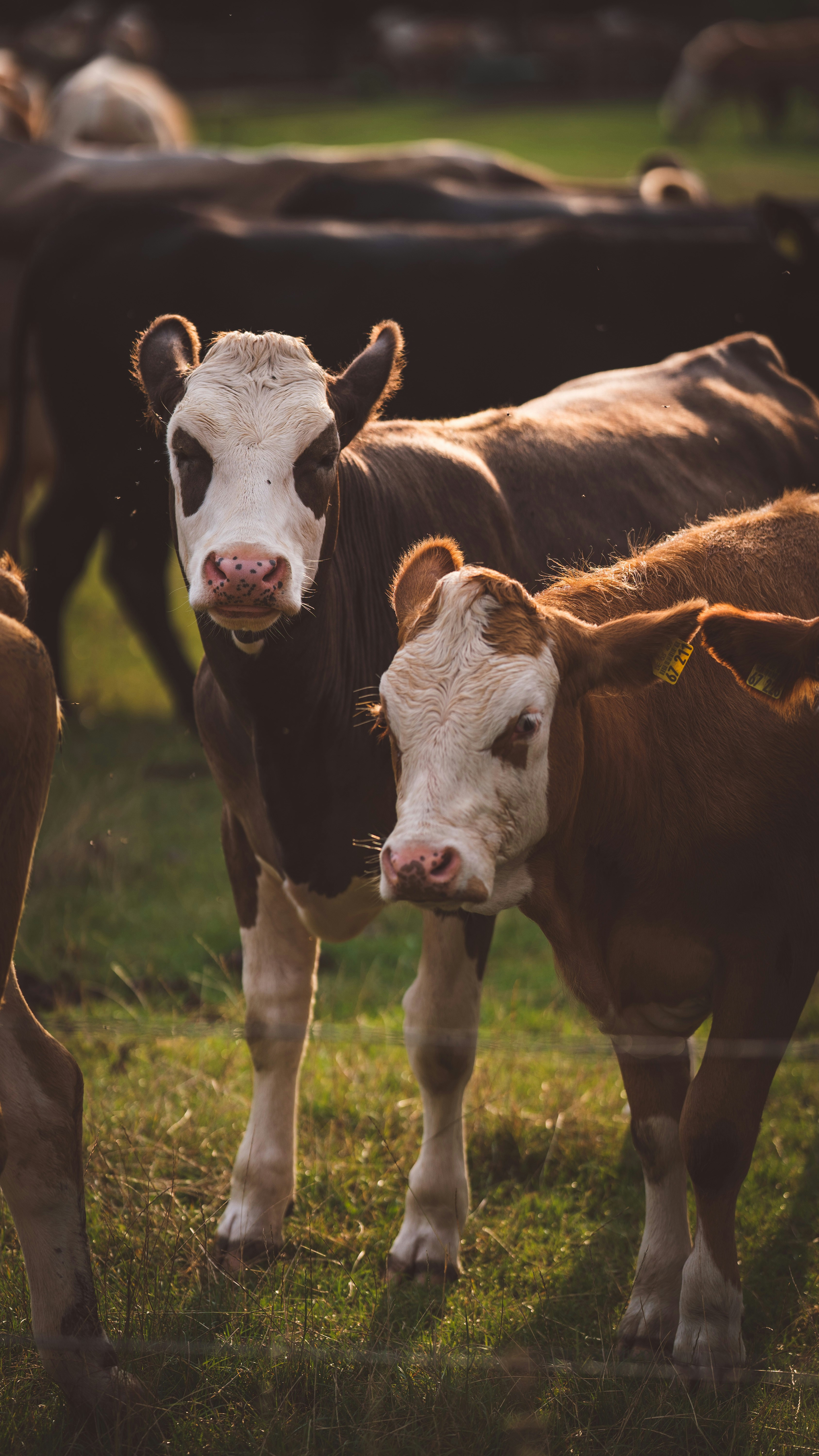 Photo by omarvellous14