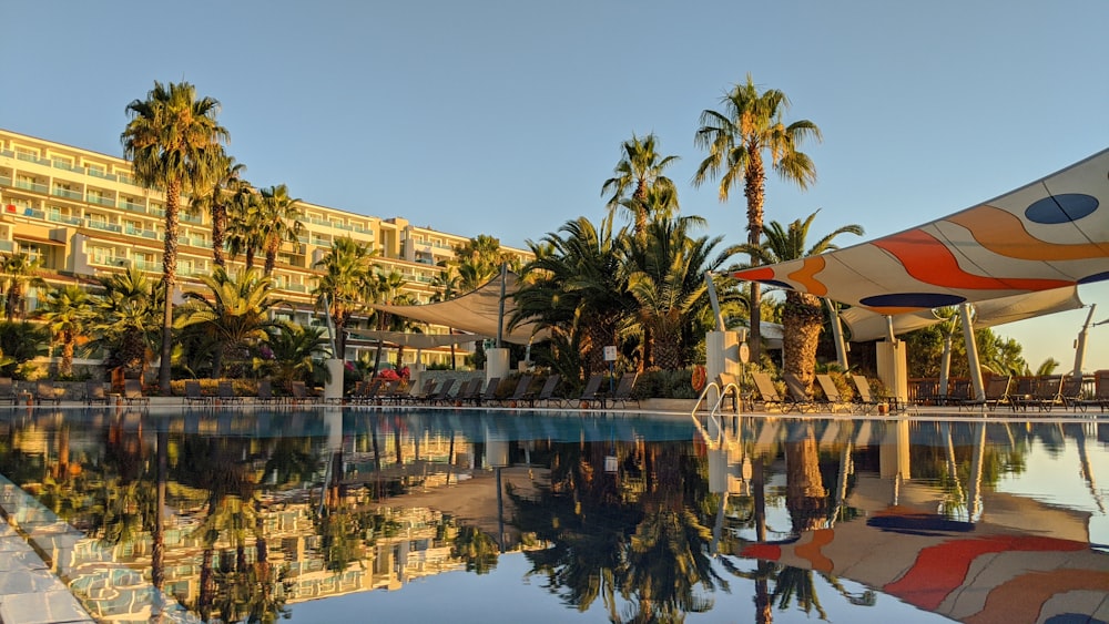 green palm trees near body of water during daytime