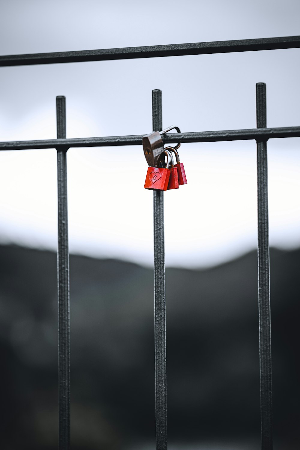 red and silver padlock on black metal fence