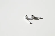 A budget-friendly wireless earbud set on a clean white surface with soft shadows.