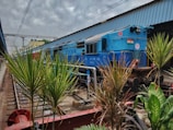 A bright blue train engine is stationed on railway tracks adjacent to a platform with a covered roof. Green plants with sharp leaves are visible in the foreground, adding a natural element to the urban scene. The train has Indian markings and is located in what appears to be an industrial or urban train station environment. Overhead wires run parallel to the tracks, under a cloudy sky.