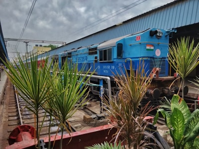 A bright blue train engine is stationed on railway tracks adjacent to a platform with a covered roof. Green plants with sharp leaves are visible in the foreground, adding a natural element to the urban scene. The train has Indian markings and is located in what appears to be an industrial or urban train station environment. Overhead wires run parallel to the tracks, under a cloudy sky.