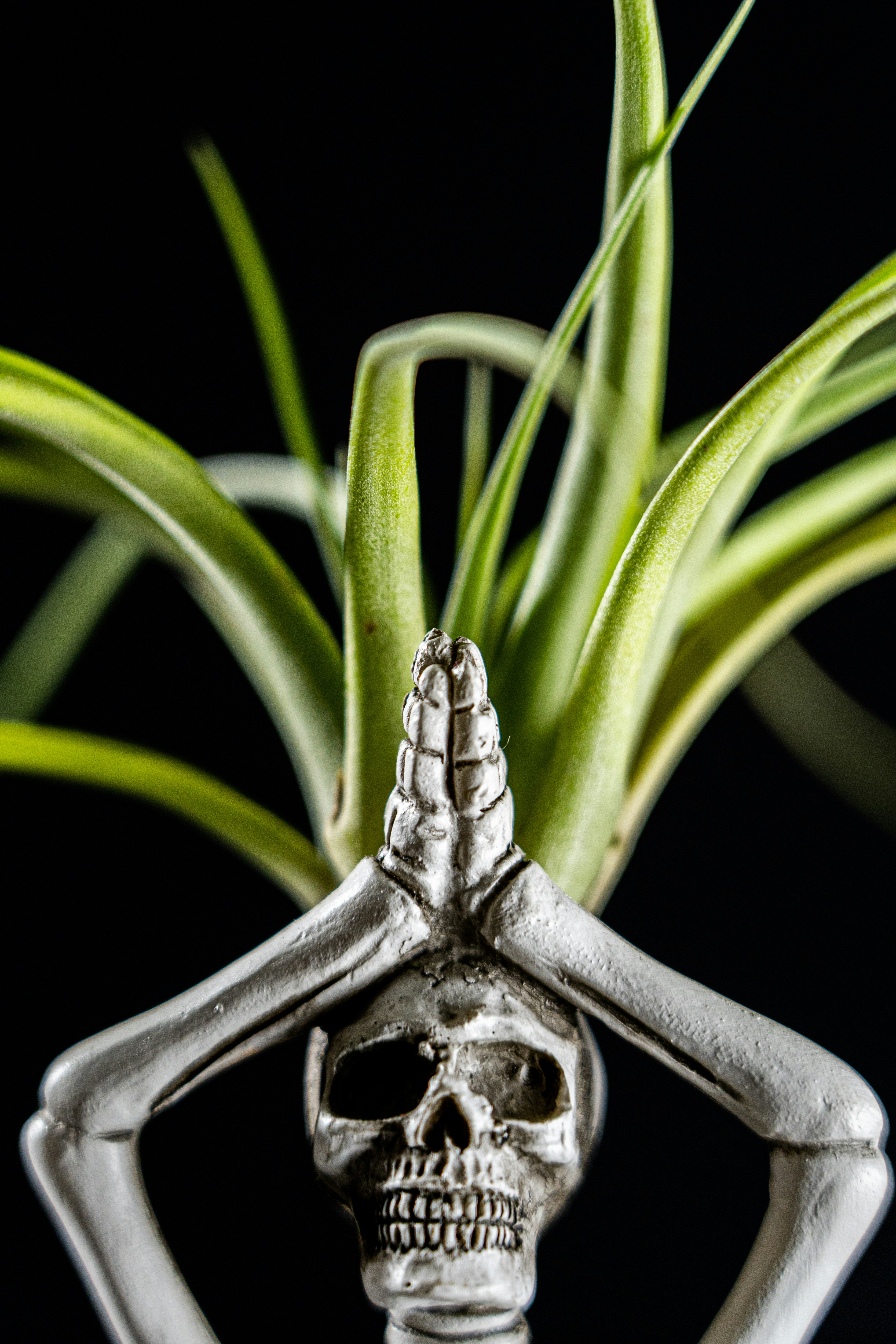 Cruz de plata con hojas verdes