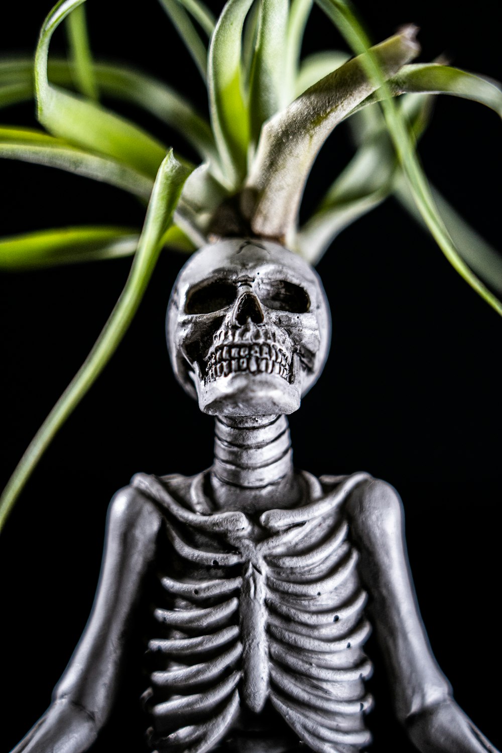 gold human skull with green leaves
