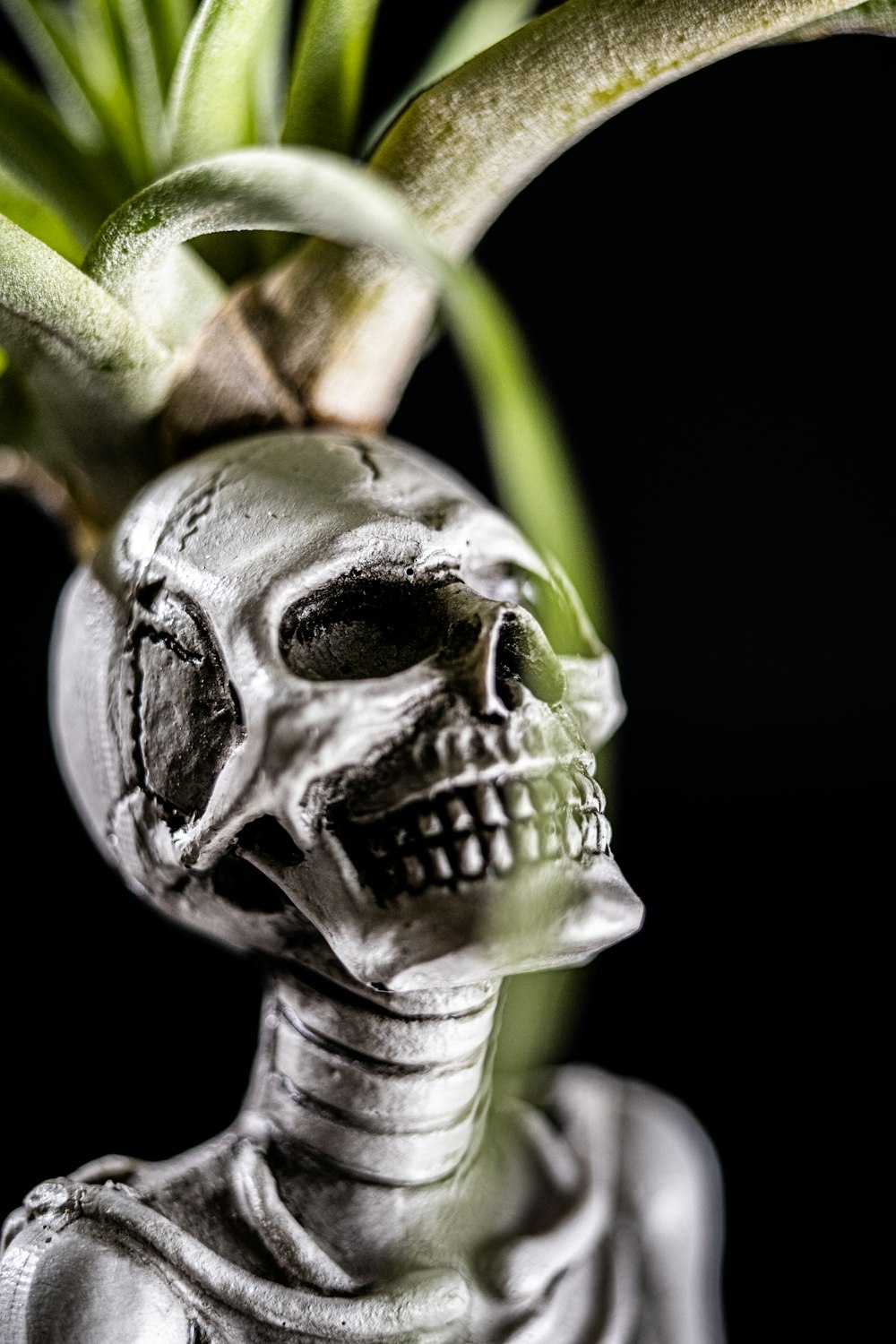 silver skull with green leaves