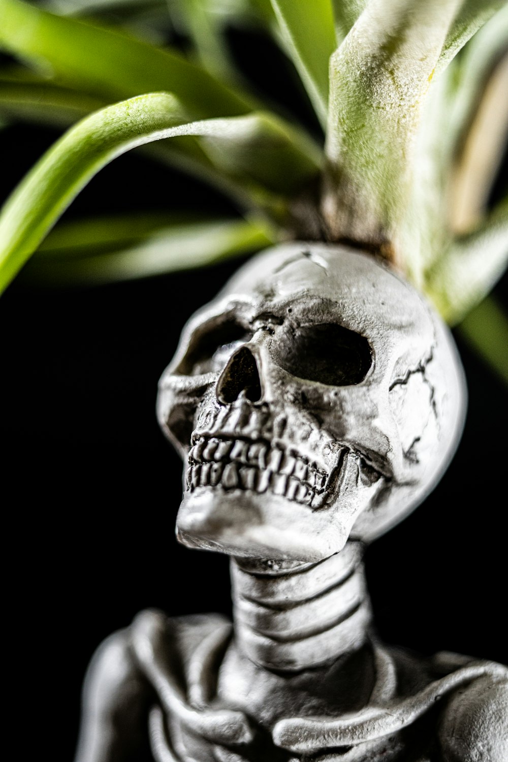 white skull with green leaves