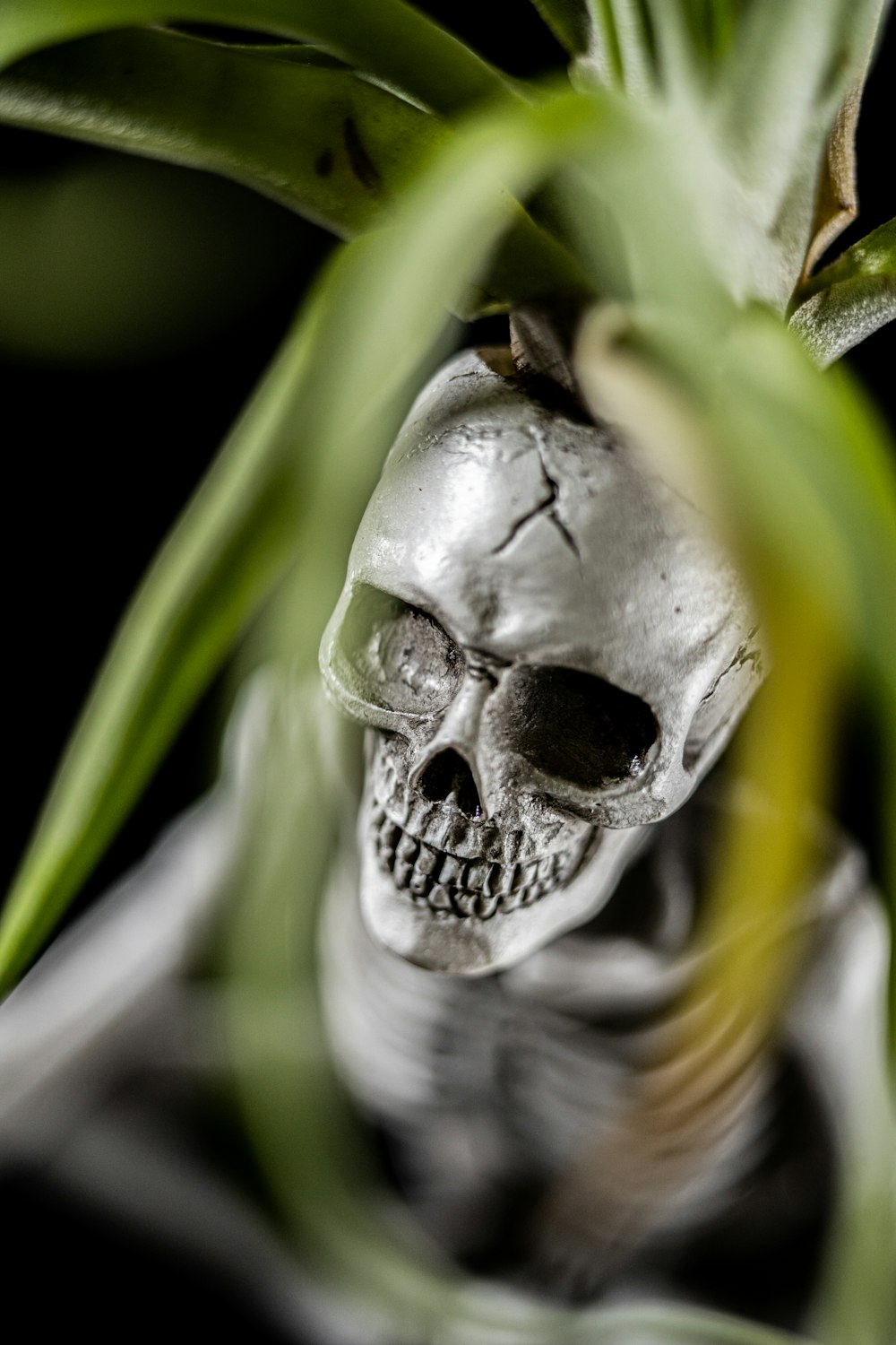 grey skull with yellow and black wings