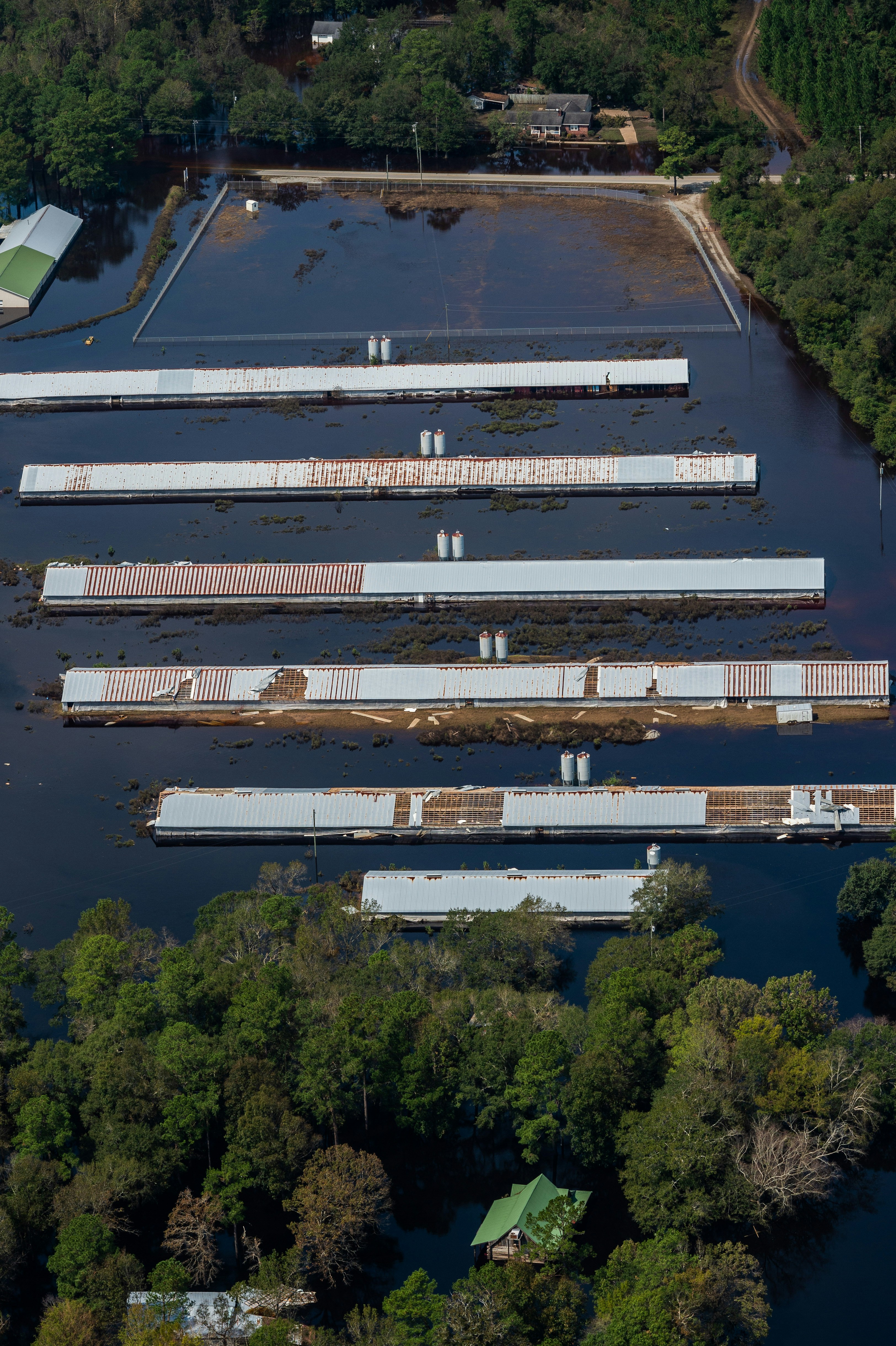 Aerial view of a CAFO farm surrounded by flood waters in Duplin County. North Carolina, USA. Explore and use 15,000 more royalty-free photos and video of animals at weanimalsmedia.org