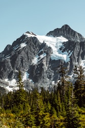 Beautiful outdoor lighting creating evening garden ambiance