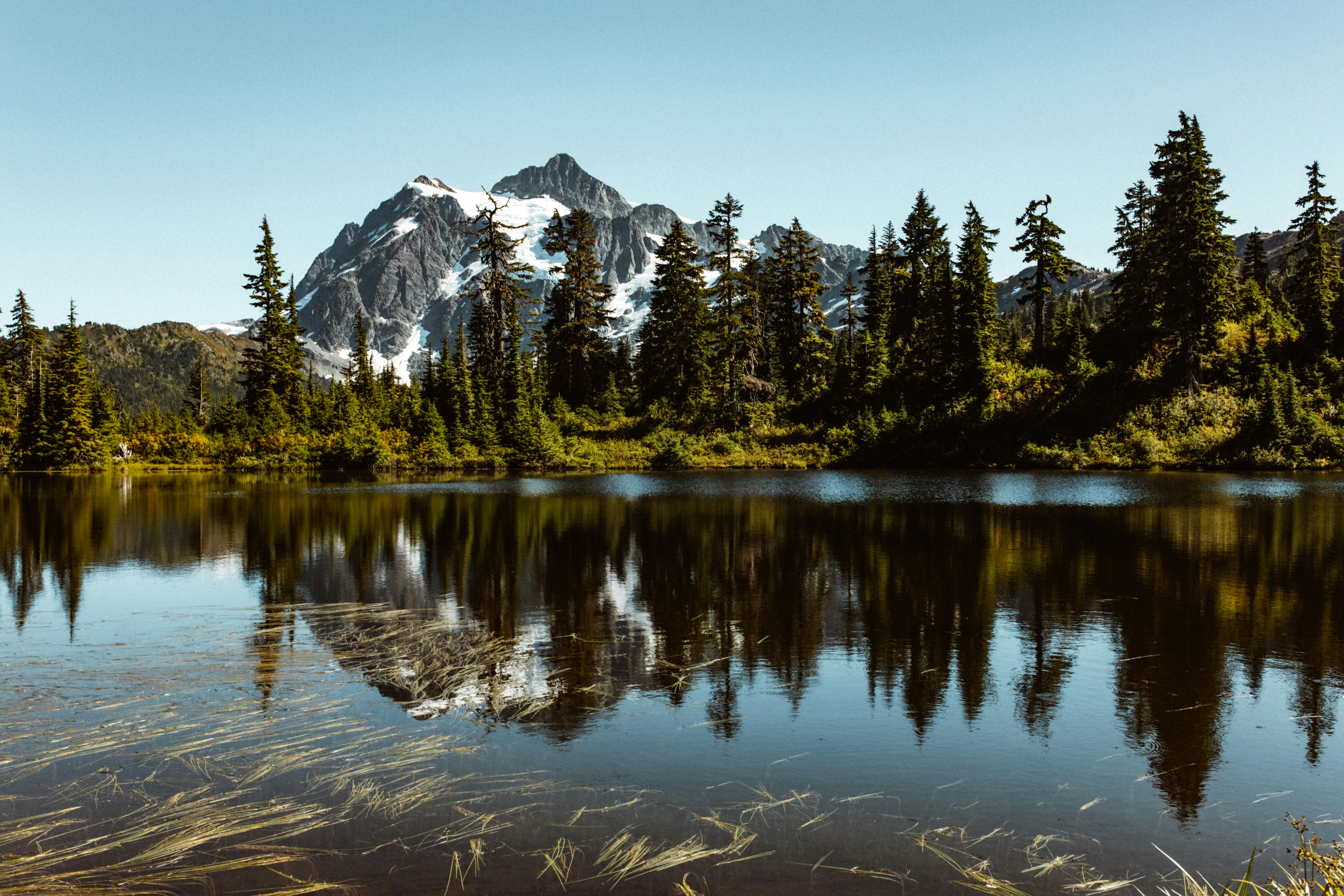 A Serene Oasis of Reflection