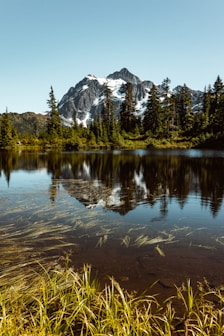 green trees near lake and snow covered mountain during daytime
