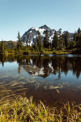 green trees near lake and snow covered mountain during daytime