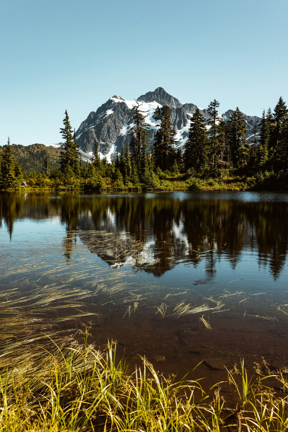 árvores verdes perto do lago e da montanha coberta de neve durante o dia