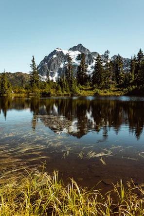 green trees near lake and snow covered mountain during daytime