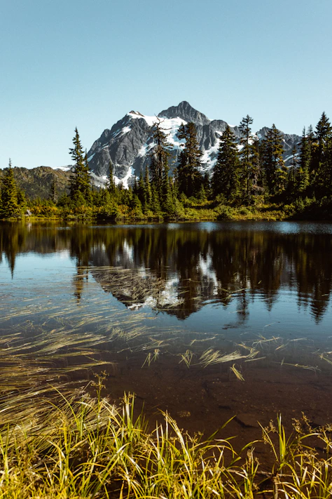 green trees near lake and snow covered mountain during daytime